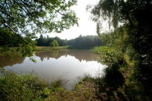 Van Wijnen_Diepstroeten_04